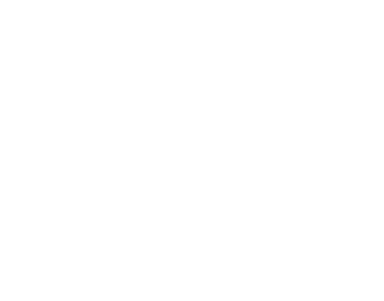 Logo BN Beauty